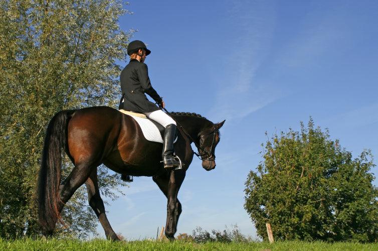 How To Become A Better Rider Even If You Don’t Ride Often – Equeene ...