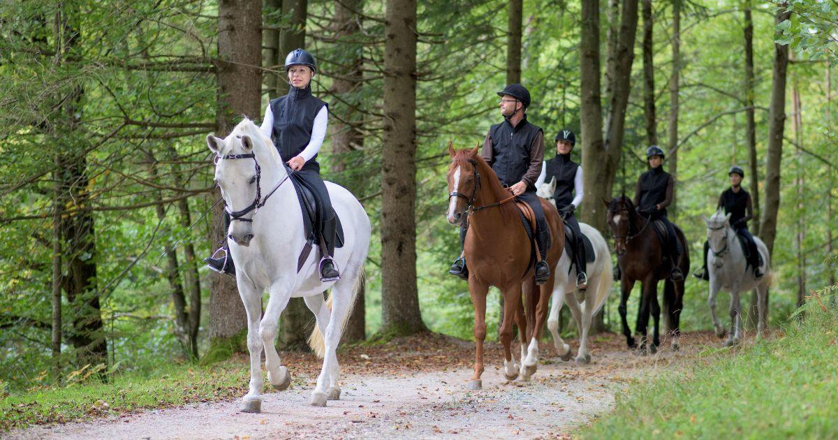 Horse Riding Holiday - riding pants