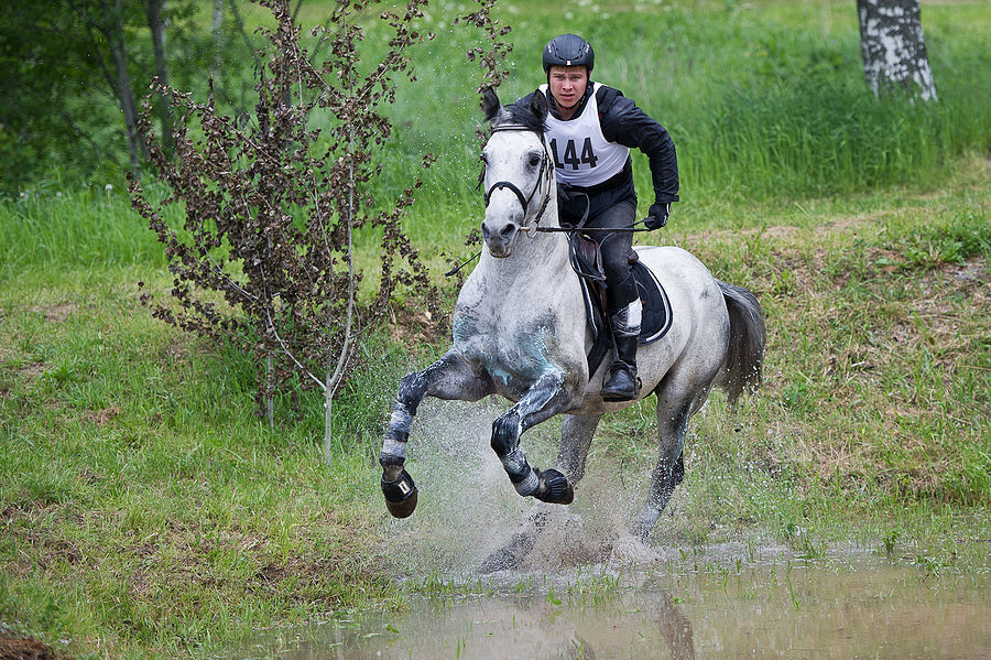 clothing horse riding