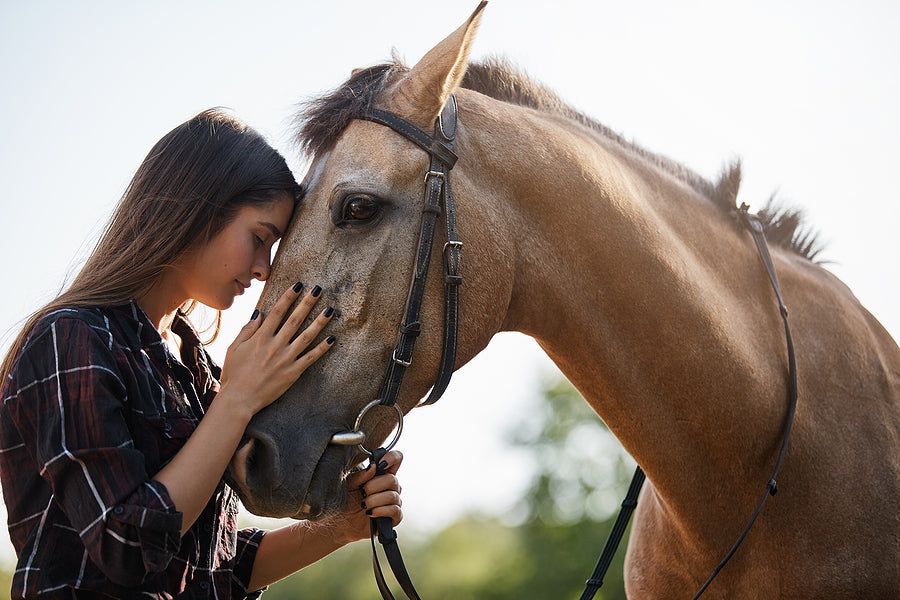 equestrian competition clothing