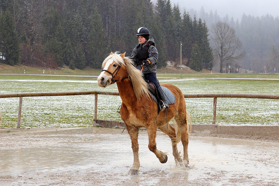 winter breeches