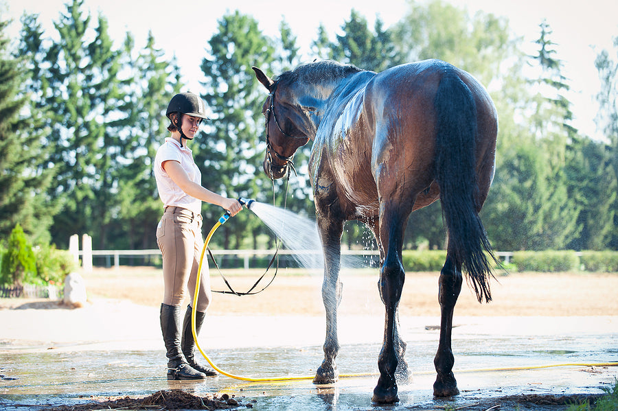  winter breeches -Equestrian-cooling horse